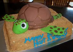 a birthday cake made to look like a turtle