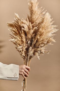 a person holding a bunch of dry grass in their hand with the stems still attached to it