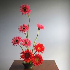 a vase filled with red flowers on top of a wooden table