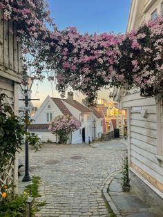 a cobblestone street with pink flowers growing on the side of it and buildings in the background