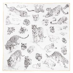 a drawing of many different types of wild animals