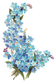 blue flowers with green leaves and buds are arranged in the shape of a letter s