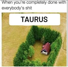 Taurus Journal, Taurus Zodiac Quotes, Strong Work Ethic, Taurus Memes, Taurus And Aquarius, Aquarius Truths, Aquarius Life, Aquarius Love, Taurus Zodiac Facts