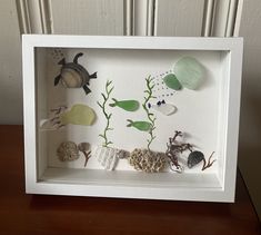 a shadow box with sea animals and plants in it