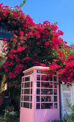 a pink phone booth with red flowers growing on it's roof and overhanging the building