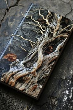 a book with tree roots on it sitting on the ground