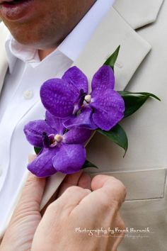 a man in a suit is holding a purple flower