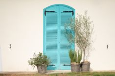 three potted plants sitting in front of a blue window with shutters on it