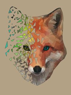 the head of a fox is made up of triangles