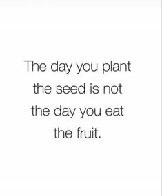 the day you plant the seed is not the day you eat the fruit