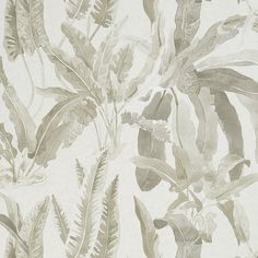 an image of a wallpaper with leaves and plants in grey on light pink background