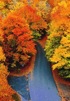 an aerial view of a road surrounded by trees with fall foliage on the sides and blue water in the middle