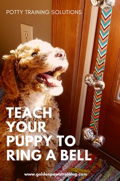 Housetraining bell for dogs Bell For Dogs To Go Outside, Diy Potty Bells For Dogs, How To Bell Train Your Dog To Go Outside, Dog Doorbell Training, Potty Bell For Dogs, Dog Bells For Door Potty Training Diy, Potty Training Puppy With Bell, Dog Bells For Door Potty Training, Bell Training Puppy Tips