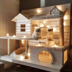 two cats sitting on top of a cat tree house with lights around the roof and inside