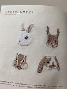 an open book with pictures of rabbits on it