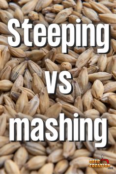 the words steeping vs mashing are in front of a pile of barley seeds