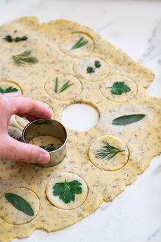 Savoury Herb and Parmesan cookies Parmesan Cookies, French Aperitif, Savory Herb, Cookie Calories, Snacks Für Party, Love Eat, Soup And Salad, Tray Bakes, Finger Foods