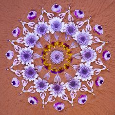 a circular design made up of purple and white flowers on a brown surface with yellow center