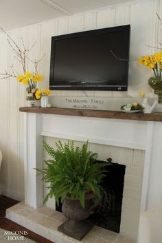 a living room with a fireplace, television and potted plants on the mantel