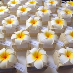 small white and yellow flowers are placed on boxes with name tags attached to the sides