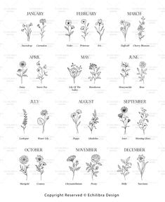 an image of different flowers and their names