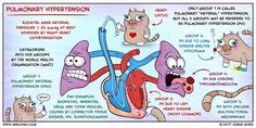 an illustrated diagram of the human heart and lungs