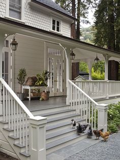 a house with white railings and steps leading up to the front door, surrounded by chickens