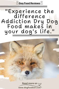 an image of a fox with the caption experience the additional dry dog food makes in your dogs life