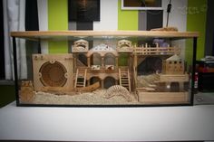 a wooden model of a castle in a glass case