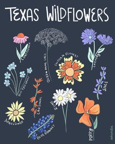 the texas wildflowers poster is shown in various colors and sizes, including blue, orange