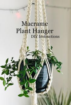 macrame plant hanger diy instructions