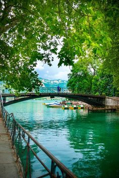 boats are floating on the water near a bridge and some people in canoes under trees