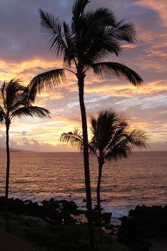 the sun is setting behind two palm trees on the beach with waves in the background