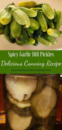 pickles in a jar with the title spicy garlic dill pickles delicious canning recipe