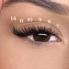 Cat Eye Wispy Lash Extensions Hybrid, Short Classic Lash Extensions, Lash Map Cat Eye, Aesthetician Tips, Cat Eye Map, Eyelash Extensions Cat Eye, Eyebrow Wax And Tint, Cat Eye Lash Map, Lash Patterns