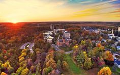 an aerial view of a city surrounded by trees with the sun setting in the background