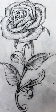 Rose Sketch, Tattoo Zeichnungen, Tattoo Rose, Disney Tattoo, Rose Drawing, Arrow Tattoos, Roses Drawing, Desenho Tattoo, Wolf Tattoos