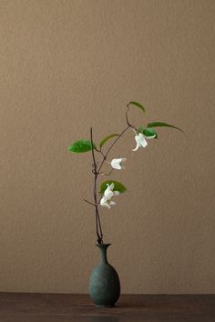 a green vase with white flowers in it on top of a wooden table next to a brown wall