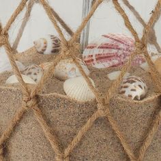 several seashells are in the sand behind a roped - in window frame