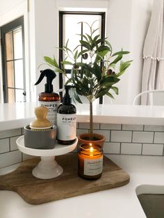 a bathroom sink with a plant, soap and lotion bottles on top of it