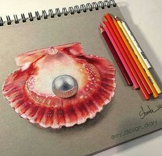 a drawing of a shell and colored pencils