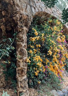 flowers growing on the side of a stone wall