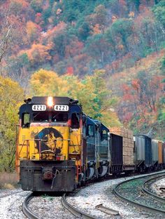 a train traveling down tracks next to a forest filled with colorful trees in the fall