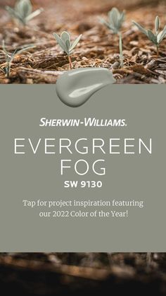 the evergreen fog logo is shown in front of an image of some plants