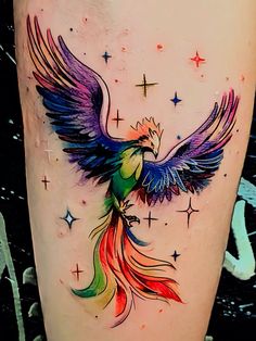 a colorful bird tattoo on the side of a woman's lower leg, with stars in the background