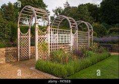 an outdoor garden with various plants and flowers in it