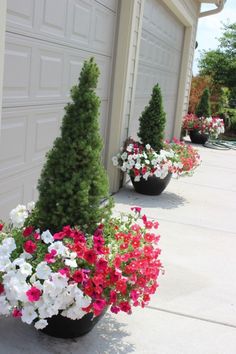 several potted plants in front of a garage door with red, white and pink flowers