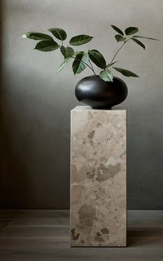 a black vase with green leaves in it sitting on a marble pedestal against a gray wall