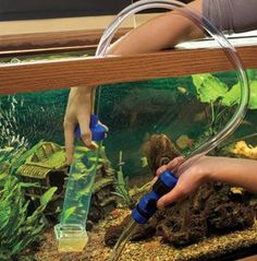 two people are looking at an aquarium with plants and fish in it, while one person is using a hose to clean the water