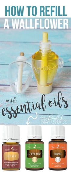 how to refill a wallflower with essential oils Nerve System, Wallflower Refill, Yl Oils, Diy Essentials, Oil Remedies, Yl Essential Oils, Living Essentials Oils, Diffuser Recipes, Essential Oil Diffuser Blends